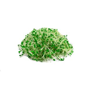 Germinados