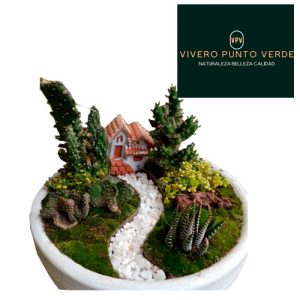 Mini Cactuario