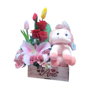 Obsequio con peluche