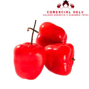 Rocoto para relleno