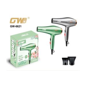 Secador profesional GW-6621